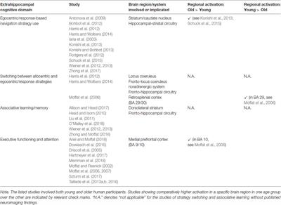 Extrahippocampal Contributions to Age-Related Changes in Spatial Navigation Ability